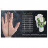 Rękawice bramkarskie Select 90 Flexi Kids v23
