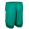 Spodenki Select Spain v25
