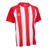 Koszulka Select Spain v25 Pasy