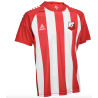 Koszulka Kosynierzy Łuczyce Spain v25
