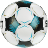 Piłka nożna Select Numero 10 v26 FIFA Basic